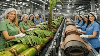 From Banana Stem to Vegan Leather &mdash; The Surprising Material Revolution