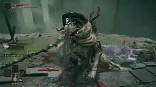 Margit, the Fell Omen Boss Fight WIN