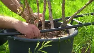 Prodotti per la gestione irrigua e automazione di impianti irrigui in agricoltura