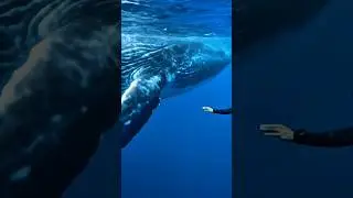 Too much input drains energy. #overstimulation #brainfacts #whalewaveimmersion