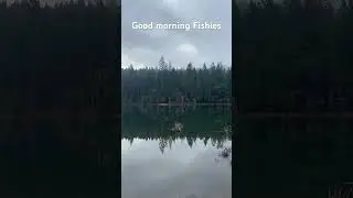 These are the kind of mornings that are worth it #troutfishing #floattube #flyfishing
