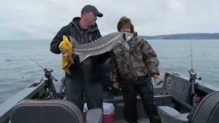 Best Sturgeon Fishing Video | Giant Oversize & Green Sturgeon!