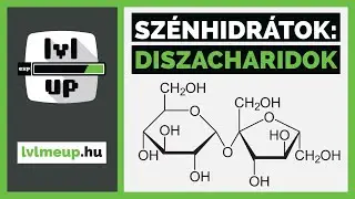 Szénhidrátok - Diszacharidok | lvlmeup.hu | Emelt kémia érettségi | Szerves kémia