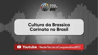 Cultura da Brassica Carinata no Brasil