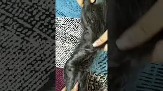 Flipkart Beautiful Brown wavy Hair Extension 😍 #shorts #viral #youtubeshorts