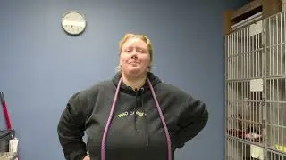 Humane Society VO/SOT/VO
