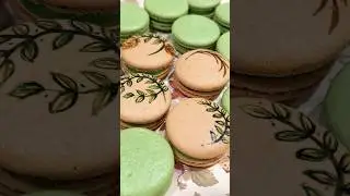 Macaron Art 🤎💚🤎 #youtubeshorts #macarons #macaronart #frenchmacaron #baking #art #painting