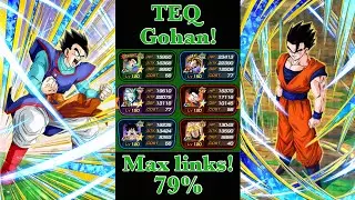 TEQ Ultimate Gohan Showcase! Hybrid Saiyans!