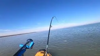 Sight fishing reds on a flat in January!