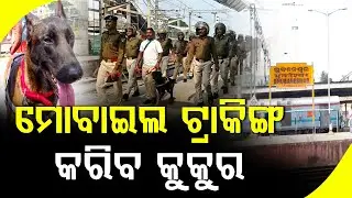 ରେଳ ଷ୍ଟେସନରେ ଜଗିଛି କୁକୁର || Dog will track mobile || DAILY ODISHA NEWS || FOCUS PLUS