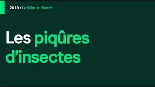 Chevaux et insectes : comment Centaura protège efficacement