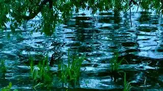 Heavenly Rain and Thunder Sounds for Deep Sleep & Meditation | Enchanting Lake Views