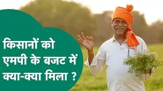 MP Budget 2026: MP के बजट में किसानों के लिए सरकार ने खोला पिटारा, सरकार ने किए कई बड़े एलान !