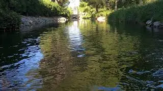 Peaceful Creek