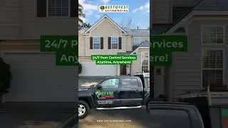 🚨 24/7 Pest Control: We&rsquo;re Always Ready! 🕒🐜