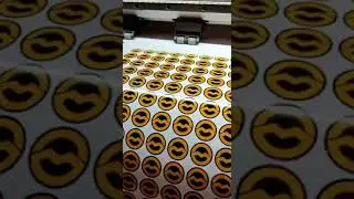 Vinyl Sticker Large Format Printer Printing and Cutting