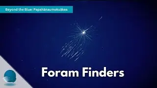 Beyond the Blue: Papahānaumokuākea - Foram Finders