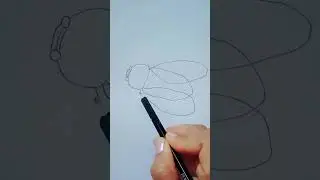 learn to draw a fly| easy fly drawing| machhi ra chitra|@innermagictalent