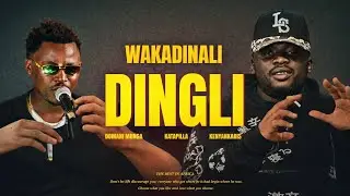 Wakadinali - DINGLI - Domani munga ft Katapilla (Official Music Video