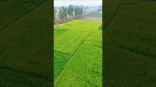 beautiful village drone shot #village #drone
