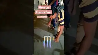 Flem Gun for burning bacteria  in poultry farm#Poultry farm#Ec poultry farm*Broiler