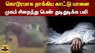 கொடூரமாக தாக்கிய காட்டு யானை... முகம் சிதைந்து பெண் துடிதுடிக்க பலி