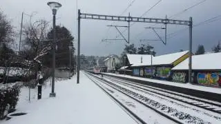 RABe 503 im schnee mit mega makro