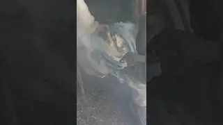 Custom Shoe Fitting #satisfying #oddlysatisfying #horsecare #farrier #horse
