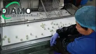 Low Damage Quail Shelling Machine Bird Egg Peeling Machine Electric Quail Egg Peeler