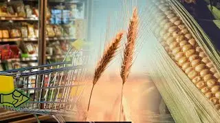 INCREASE IN WHEAT AND CORN PRICES