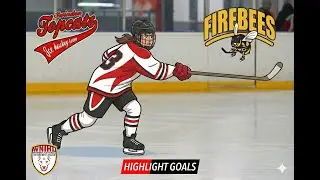 Topcats vs Firebees  - Goals - Dec 7th 2025