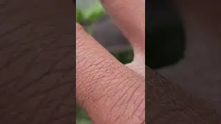 quad topping