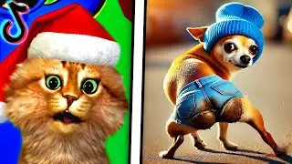 Reacting To The FUNNIEST Videos (TRY NOT TO LAUGH CHALLENGE)