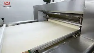 Bear Biscuit Production Line for Hello Panda Biscuit