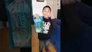 Proyecto bolsa biodegradable Diego Alejandro Bogota Velasco curso 2j
