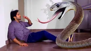 देखिये इच्छाधारी नागिन ने कैसे बचाई बबल की जान | Ichhapyaari Naagin Episode 72,73,74,74
