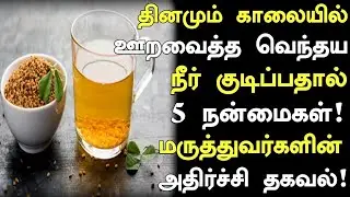ஊறவைத்த வெந்தய தண்ணி மருத்துவ குணங்கள் | Benefits of Vendhayam in Tamil |Fenugreek Seeds | Nalam 360