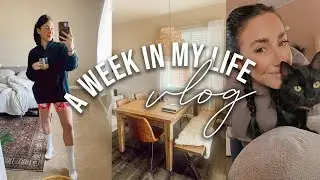 WEEKLY VLOG | divi website design, home goods haul, and new hobby