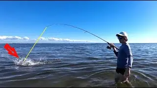 Fishing In Redfish PARADISE! (NON-STOP ACTION)