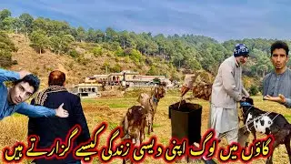 گاؤں کی دیسی زندگی یہ ویڈیو دیکھ کر اپنی پرانی زندگی یاد اجائے گی. The village life of Kashmir.  😍😍￼