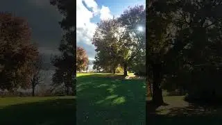 Deep deep english autumn. #music #youtubeshorts #shortsvideo #ticktock #relaxingmusic #relaxing