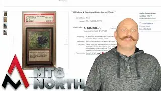 Top 10 Expensive eBay Magic The Gathering Sales: May 9 - 22, 2022
