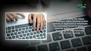 Basics of Employment Background Checks | BackgroundCheckCentral.com