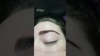 Brow Lamination with Elleebana Profusion