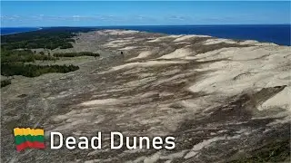 Dead Dunes, located on 🇱🇹 Neringa, Lithuania