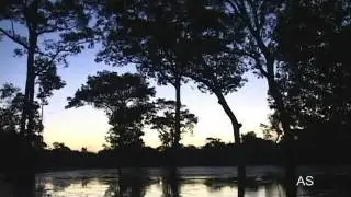 Night in wild river,Bar&atilde;o de Melga&ccedil;o,MT,Brazil, Antonio Silveira