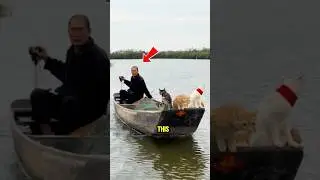 This guy has the best cats on his boat! #cats #shorts