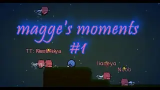 Teeworlds Magges's FNG Moments #1 || Highlights