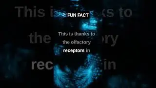 Human body is INCREDIBLE 🥰 #shorts #subscribe #shortvideo