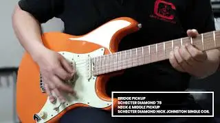 쉑터 커스텀샵 픽업비교/Pasadena vs Monster Tone&Super Rock/닉존스턴